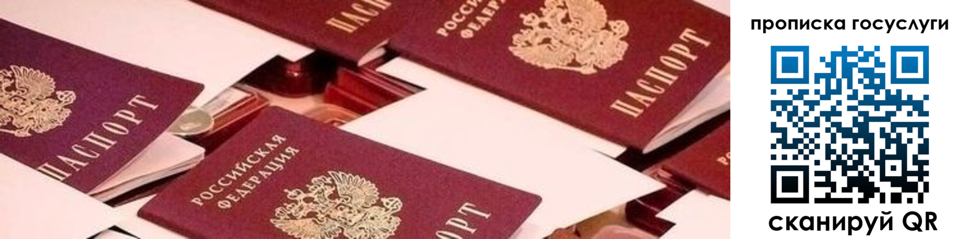 регистрация в Рязанской области